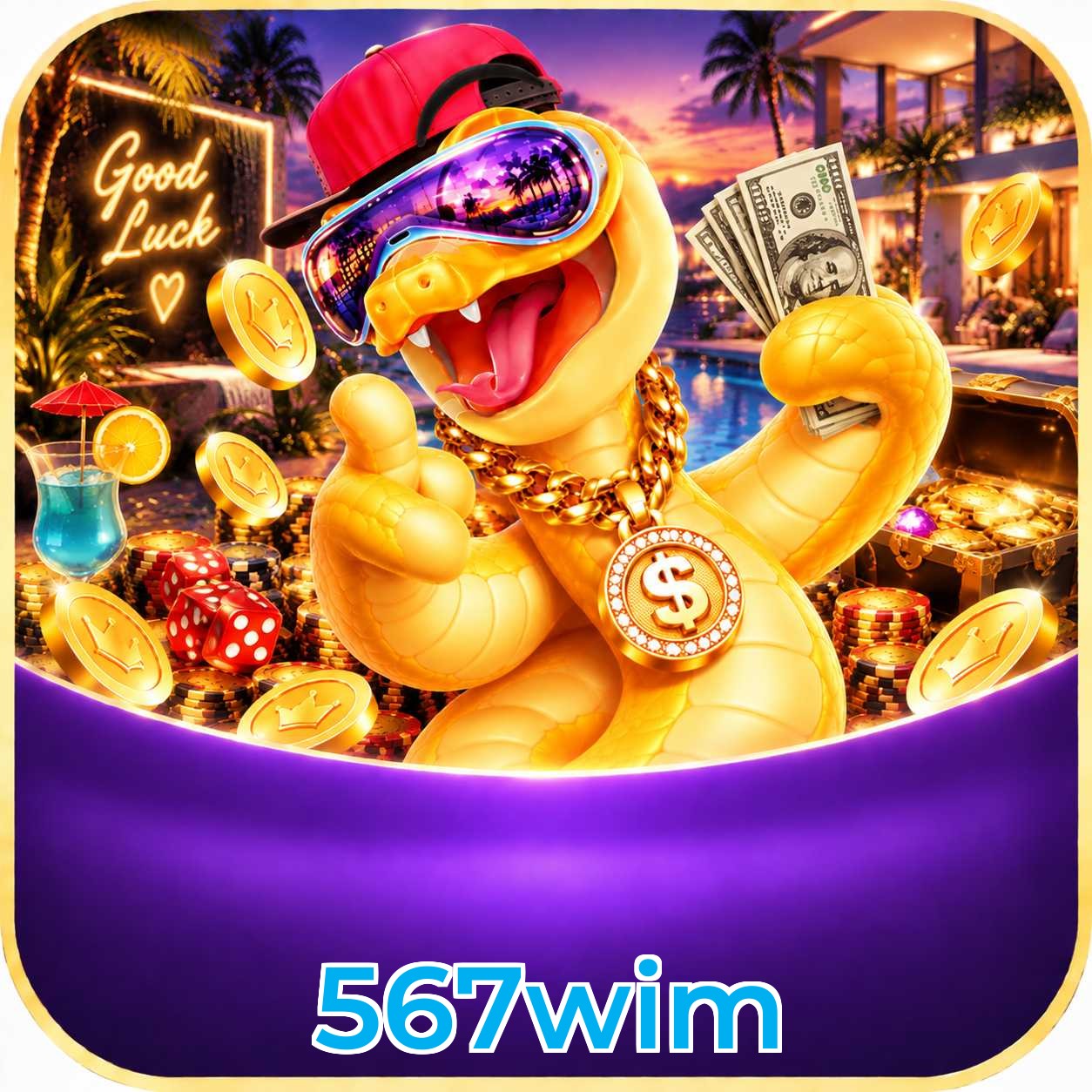 567wim Version History