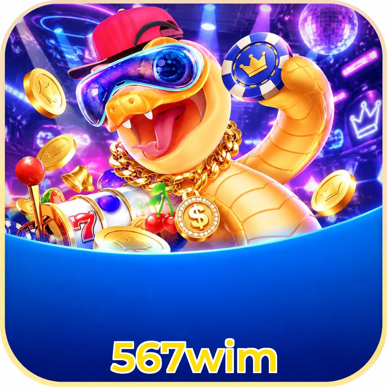 567wim App vs Web