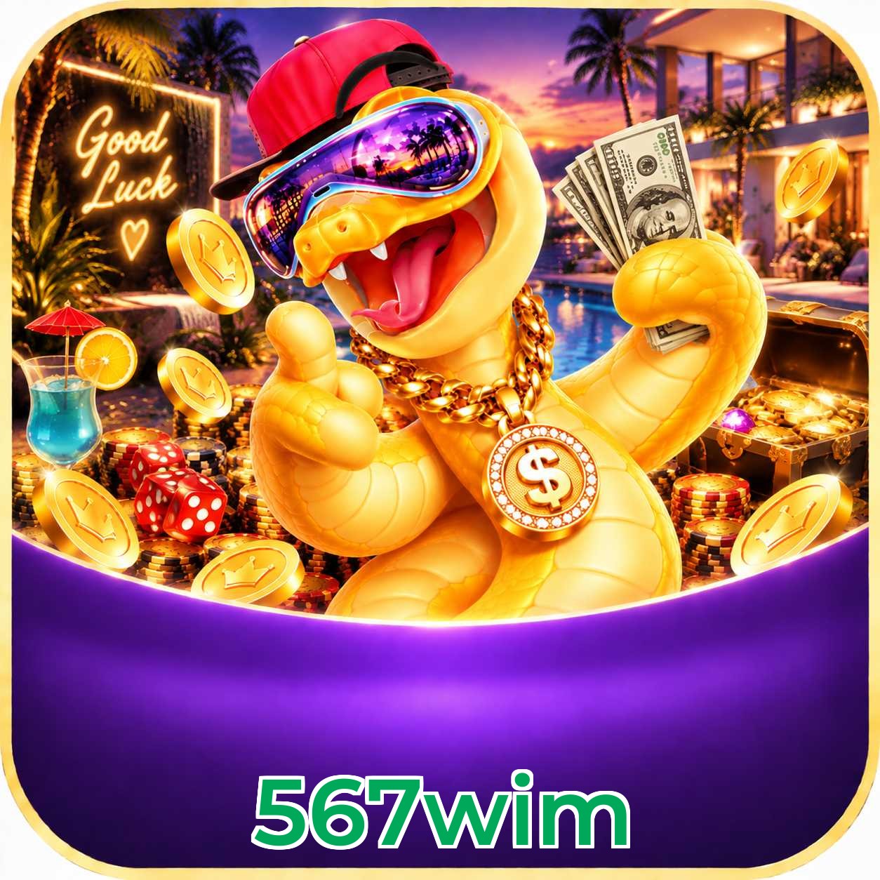 567wim App Features